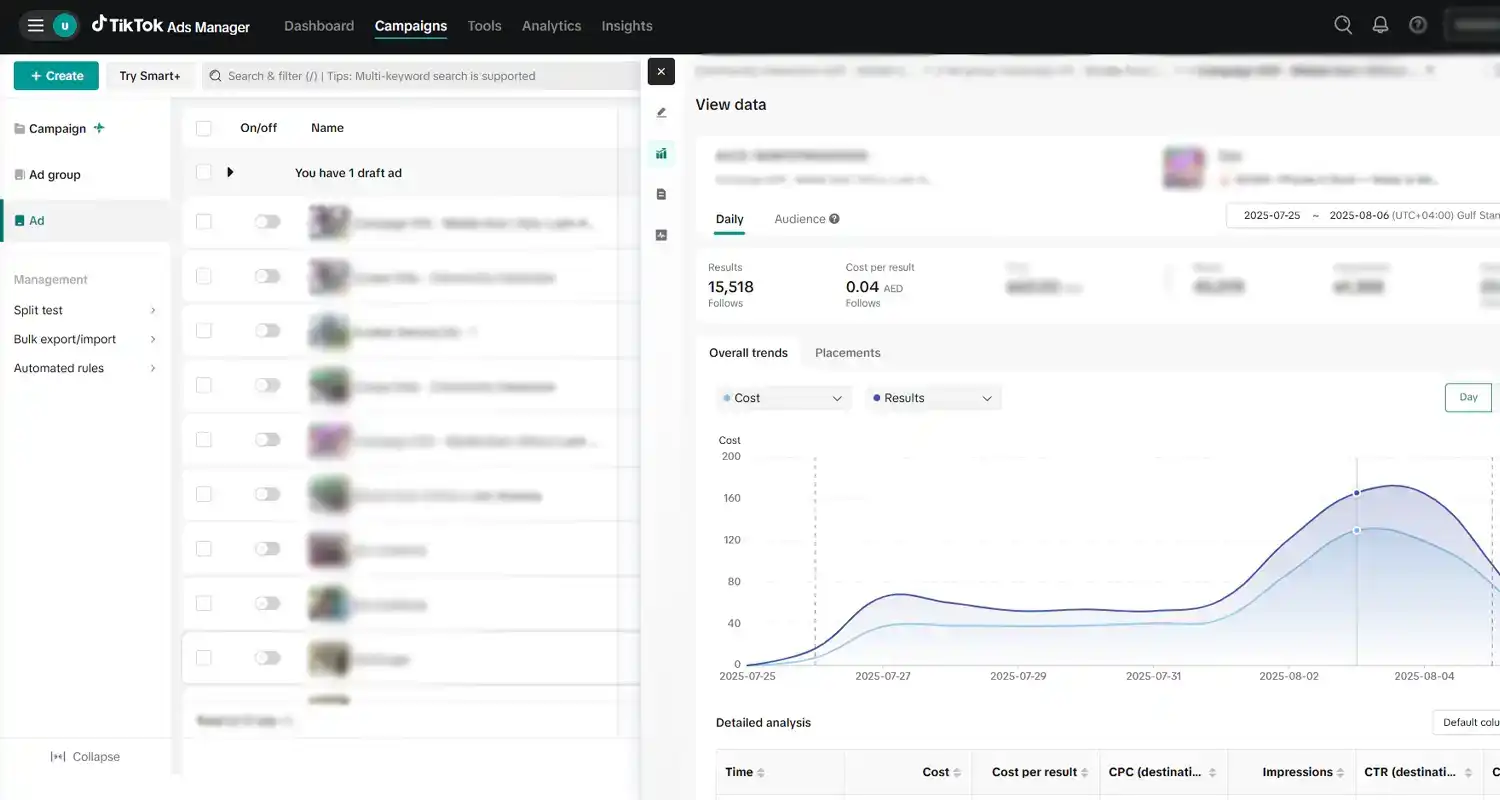 TikTok Ads Optimization - Campaign Overview